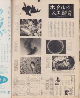 アサヒグラフ　昭和33年8月3日号　表紙撮影・丹野章