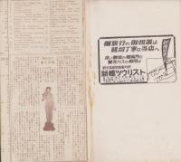 （鳥瞰図）南伊豆観光絵図　-ひとめでわかる楽しい-