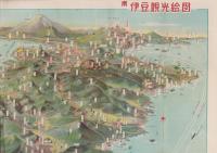 （鳥瞰図）南伊豆観光絵図　-ひとめでわかる楽しい-