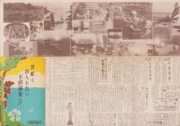 （鳥瞰図）南伊豆観光絵図　-ひとめでわかる楽しい-