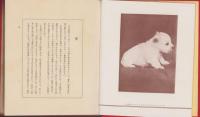 犬　-正しい飼方と病気の手当-