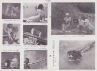 オリエンタルニュース　193号　-昭和11年12月号-