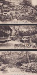 (絵葉書）南地日柄喜　濱寺支店ノ一　3枚(大阪府堺市）