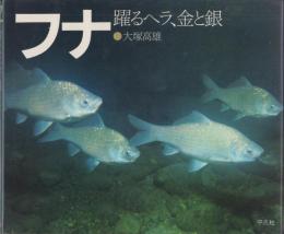 (写真集)フナ　-躍るヘラ、金と銀-