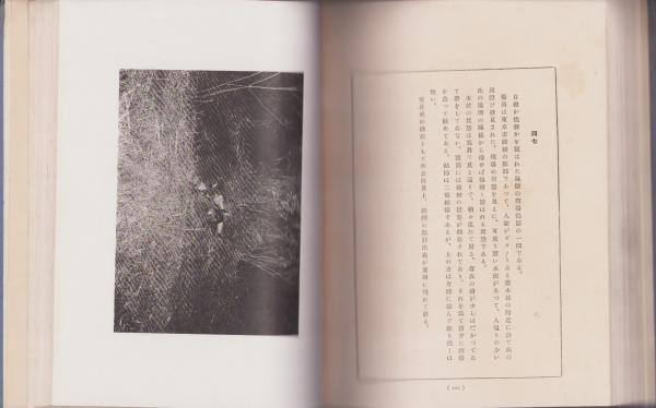 犯罪現場写真集 / 古本、中古本、古書籍の通販は「日本の古本屋