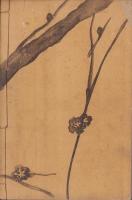 処女の鑑　四ノ巻（岐阜県吉城郡）