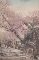 (絵葉書）偕楽社門前より村上旅館を望む　1枚(岐阜県）