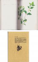 （肉筆画集）彦根の植物　24冊（滋賀県）