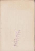 野田城　-千郷村史第12編-（愛知県）