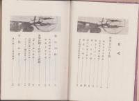 翼の勝利　-航空日本-
