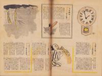 週刊朝日　昭和23年8月29日号　表紙画・猪熊弦一郎