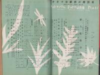 キネマ旬報　第75号　-昭和28年秋の特別号-（表紙モデル）アン・ブライス