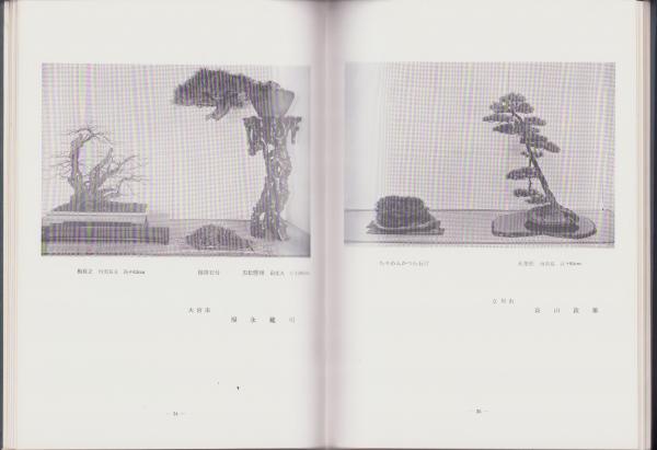 国風盆栽展 第47回 記念帖 写真集： 国風盆栽展 記念帳 第93回 *資材 | 書籍,写真集・記念