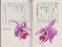新婦人　昭和44年5月号　表紙画・岡本滋夫