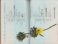 新婦人　昭和43年12月号　表紙画・岡本滋夫