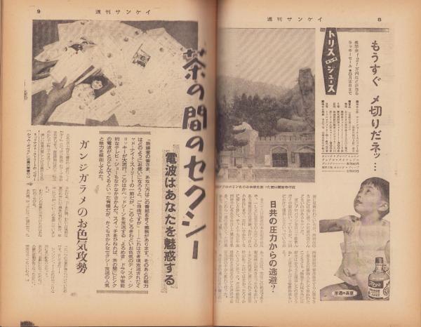 「軽井沢避暑地100年」付録付 中島松樹 編 1987年 国書刊行会 軽井沢避暑地100年」付録付 中島松樹 編 1987年 国書刊行会