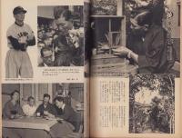 週刊朝日　昭和30年11月20日号　表紙画・田﨑広助「秋の草花」
