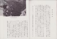 樟樹の魅力