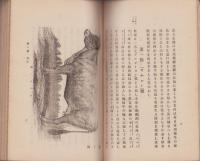 乳牛及製乳新書