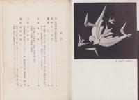 紙の彫刻　-UALシリーズ10-
