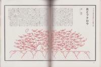 暮しのペンキ　10号　-考えるつくるぬる雑誌-　昭和50年冬号