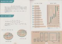 （営業報告書）松坂屋　第86期営業報告書　-昭和27～28年-（名古屋市）
