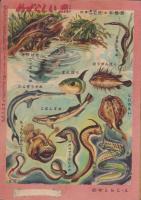 こども家の光　-家の光昭和30年7月号付録-　表紙画・沢田重隆「めだかとり」