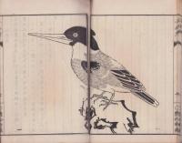 小品考