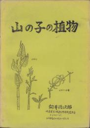 山の子の植物（岐阜県）