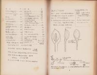 山の子の植物（岐阜県）