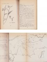 山の子の植物（岐阜県）