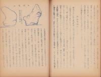 山王廃寺阯の研究(群馬県)
