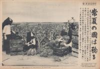 （時事写真速報）常夏の国は稔る　-台湾山脚地帯でのパインアップルの収穫-　昭和11年7月31日