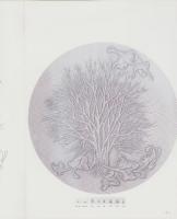 1988　NEW LEATHER CRAFT COLLECTION CREATEⅢ　-インテリア編-