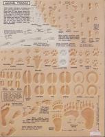 （原書）FIGURE CARVING Finesse（フィギュア・カービング技巧）