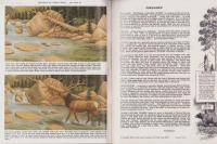 （原書）Pictorial Carving Finesse（ピクトリアル・カービング技巧）