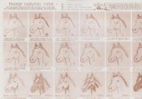 （原書）HOW TO CARVE LEATHER　-Featuring the ABC's of Figure Carving and The"Dye Chart"Method-Fully Illustrated-（レザーの切り方　-フィギュア・カービングのABCと 「ダイ・チャート」メソッドを完全図解で紹介-）