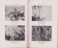 香川縣　植物分類目録
