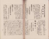 (皇漢秘薬日本丸の広告パンフレット）日本丸