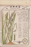 害虫図解　25図＋通俗益虫集覧　第1輯 1図