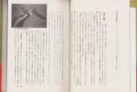 岐阜県の百年　-県史100年史21-