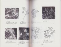 金華山の植物（岐阜県）