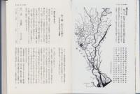 江吉良・舟橋郷土史　第2巻（岐阜県）