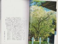岐阜市の文化財