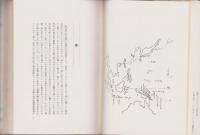 沙穀椰子の島　-戦中ニューギニヤ記-