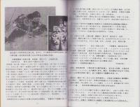 土岐明智氏一族の由緒ならびに光秀随想(岐阜県）