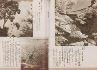 （旅行案内）淡輪つつじ(大阪府・和歌山県）