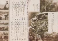 （旅行案内）淡輪つつじ(大阪府・和歌山県）