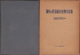 鋼中の非金属介在物写真集