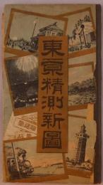 東京精測新図　附横浜全図、中仙道及奥羽両毛水戸鉄道線路略図　新橋停車場之景他図入